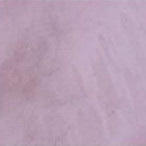 Lavander