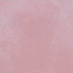Pale Rose